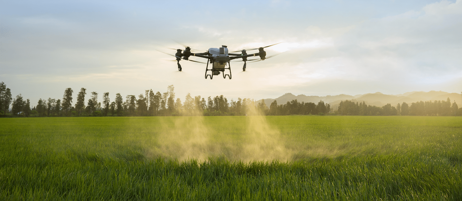 drone agrícola fumigando y haciendo una prueba de vuelo en campo abierto
